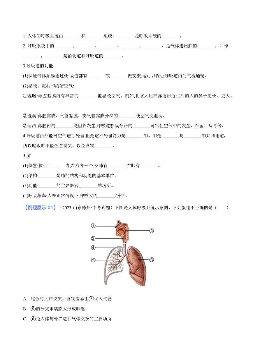 重难点08 人体的呼吸、物质运输和废物的排出（原卷版）2025年中考生物【热点·重点·难点】专练（全国通用）第2页