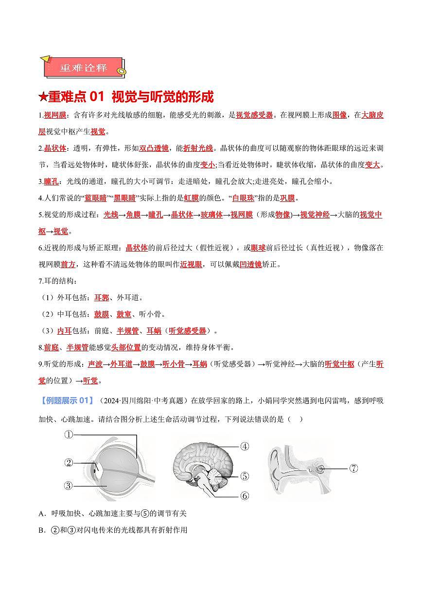重难点09 人体生命活动的调节（解析版）2025年中考生物【热点·重点·难点】专练（全国通用）第2页