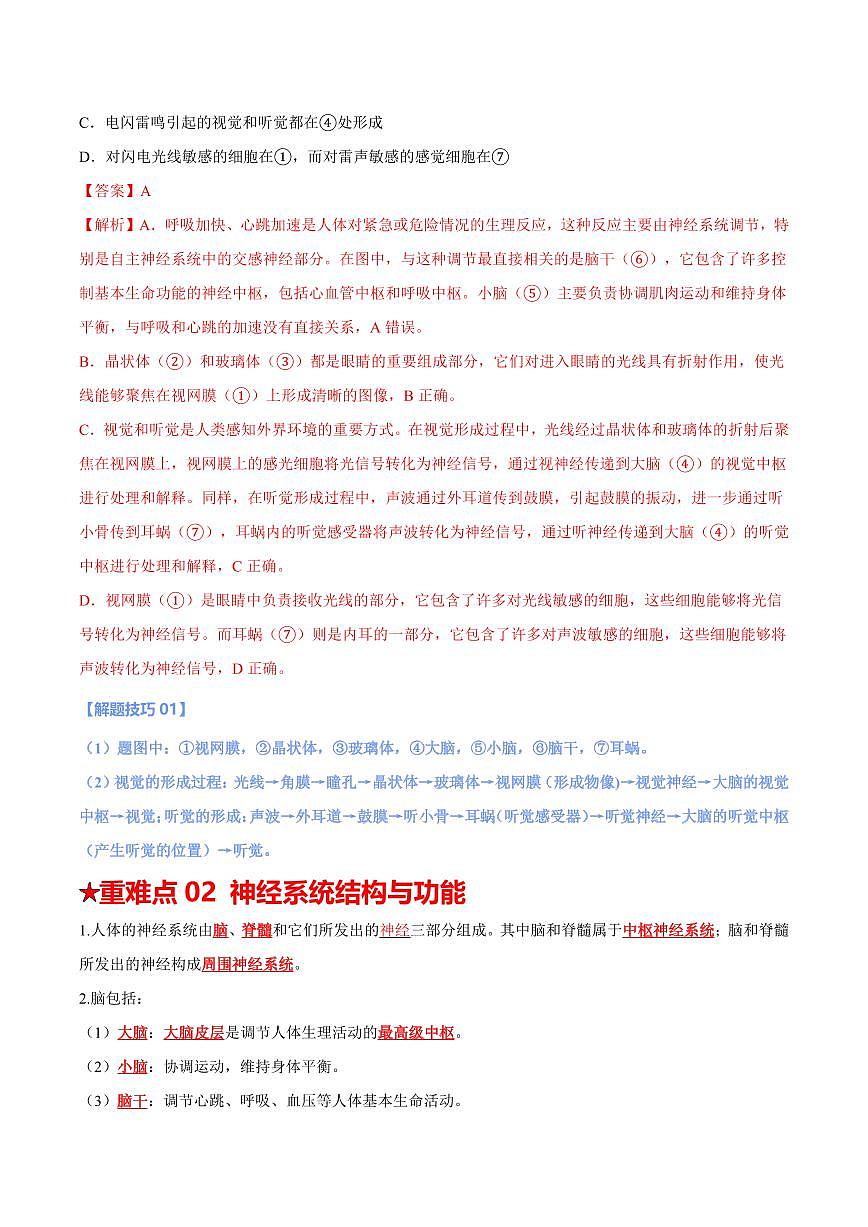 重难点09 人体生命活动的调节（解析版）2025年中考生物【热点·重点·难点】专练（全国通用）第3页