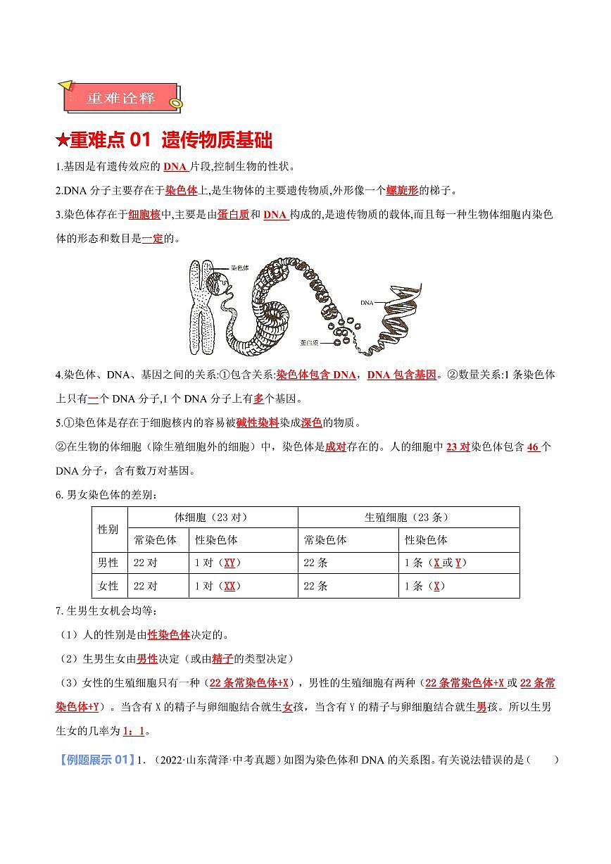 重难点12 生物的遗传和变异（解析版）2025年中考生物【热点·重点·难点】专练（全国通用）第2页