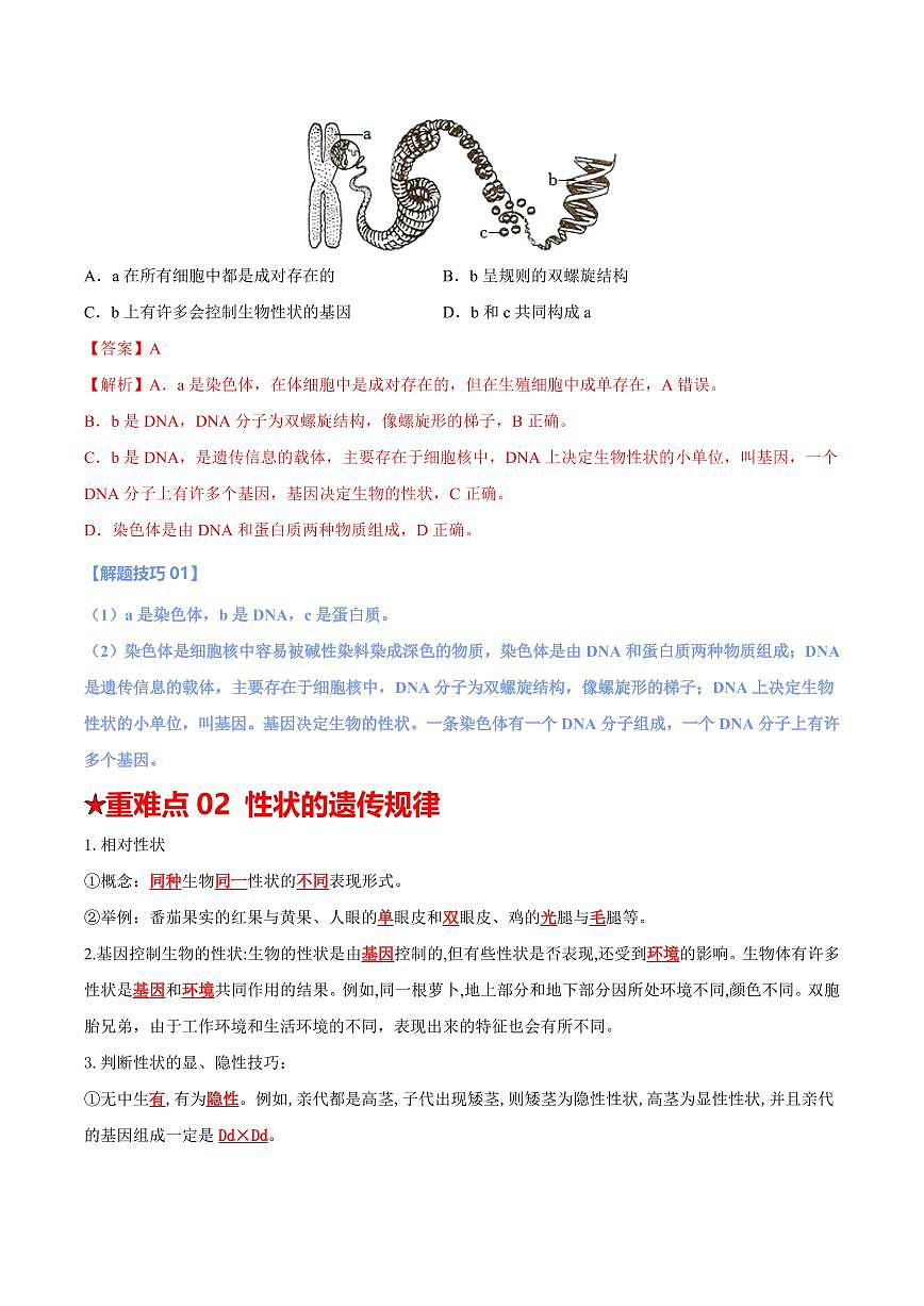 重难点12 生物的遗传和变异（解析版）2025年中考生物【热点·重点·难点】专练（全国通用）第3页