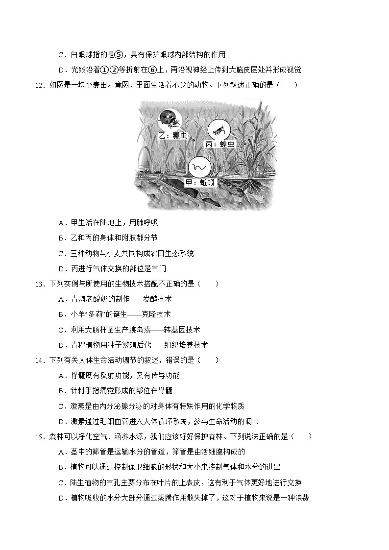 2025年中考第二次模拟考试卷：生物（吉林省卷）（考试版）第3页