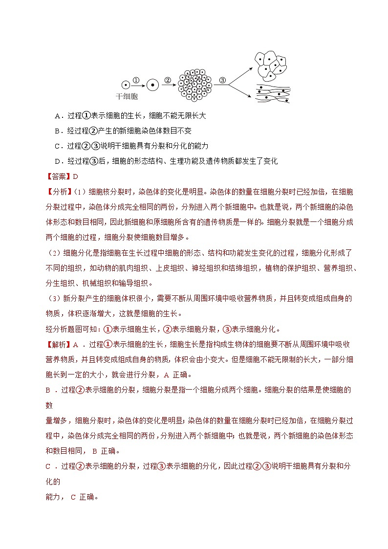 2025年中考第二次模拟考试卷：生物（吉林长春卷）（解析版）第3页