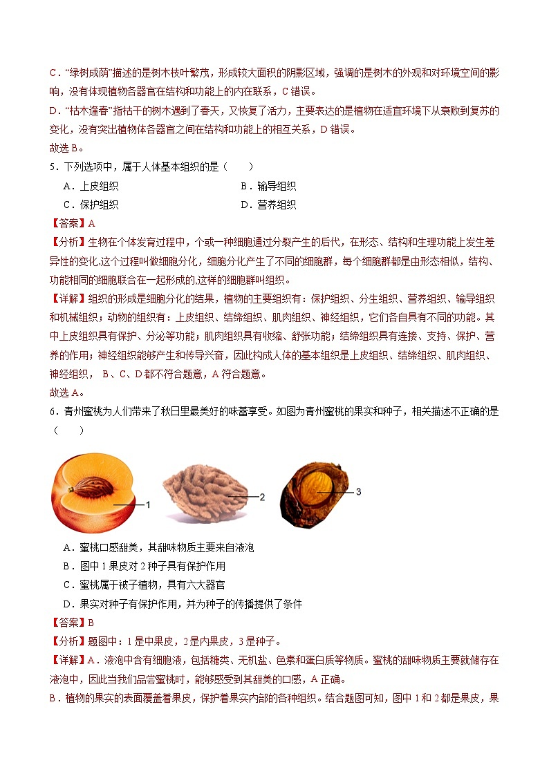 2025年中考第二次模拟考试卷：生物（济南卷）（解析版）第3页