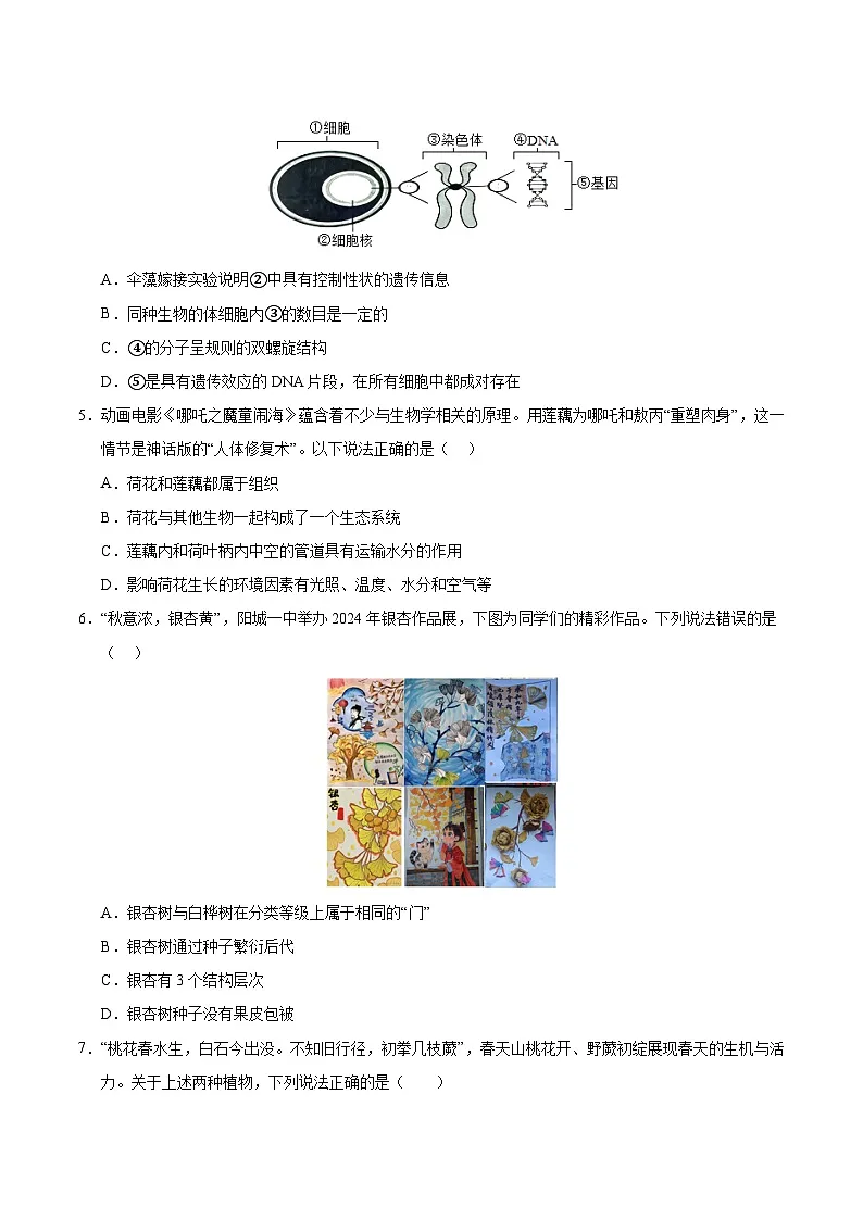 2025年中考第二次模拟考试卷：生物（云南卷）（考试版）第2页