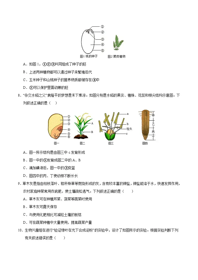2025年中考第二次模拟考试卷：生物（云南卷）（考试版）第3页