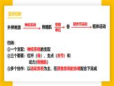 3.5.5激素與生命活動調(diào)節(jié)  七年級生物下冊教學課件（冀少版2024）