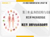 3.5.5激素與生命活動調(diào)節(jié)  七年級生物下冊教學課件（冀少版2024）
