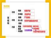 3.5.4運(yùn)動(dòng)的完成  七年級(jí)生物下冊(cè)教學(xué)課件（冀少版2024）