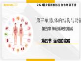 3.5.4運(yùn)動(dòng)的完成  七年級(jí)生物下冊(cè)教學(xué)課件（冀少版2024）