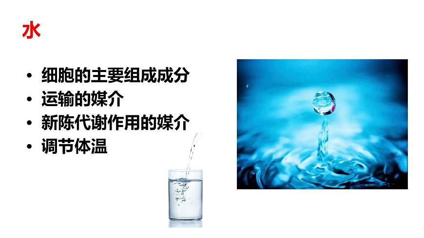 2024-2025学年北师大版生物七年级下册 4.6.1  人类的食物    课件第8页