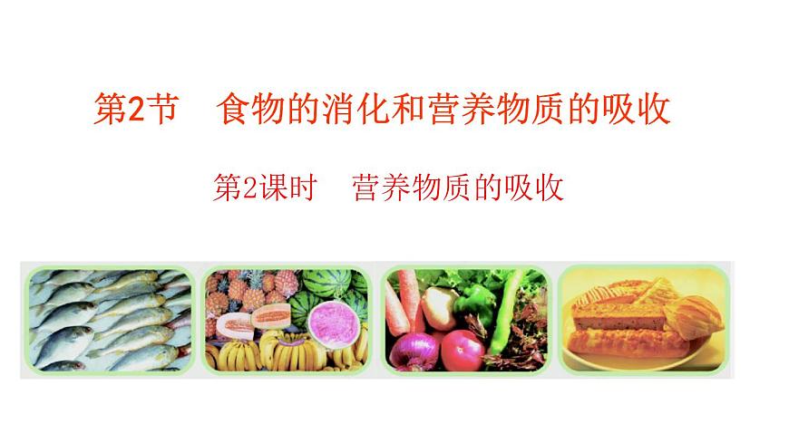 2024-2025学年北师大版生物七年级下册 4.6.2  食物的消化和营养物质的吸收（第2课时） 课件第1页