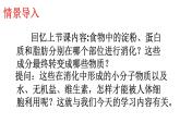 2024-2025學年北師大版生物七年級下冊 4.6.2  食物的消化和營養(yǎng)物質的吸收（第2課時） 課件