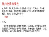 2024-2025學年北師大版生物七年級下冊 4.6.2  食物的消化和營養(yǎng)物質的吸收（第2課時） 課件