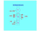 2024-2025學年北師大版生物七年級下冊 4.6.2  食物的消化和營養(yǎng)物質的吸收（第2課時） 課件