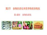 2024-2025學年北師大版生物七年級下冊 4.6.2食物的消化和營養(yǎng)物質的吸收（第1課時） 課件