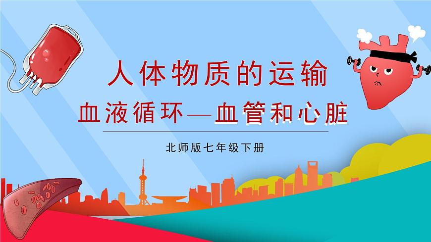 2024-2025学年北师大版生物七年级下册 4.7.1  血液——血管和心脏    课件第1页