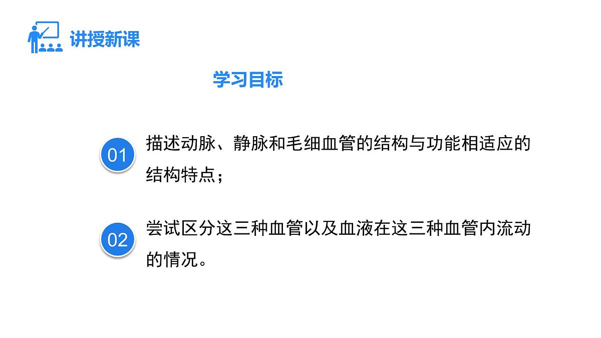 2024-2025学年北师大版生物七年级下册 4.7.2 第1课时 血液流动的管道 课件第2页