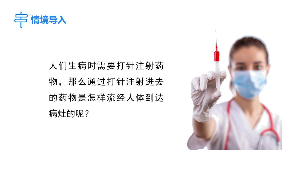2024-2025学年北师大版生物七年级下册 4.7.2 第1课时 血液流动的管道 课件第3页