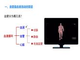 2024-2025學(xué)年北師大版生物七年級(jí)下冊(cè) 4.7.2  第1課時(shí) 血液流動(dòng)的管道 課件