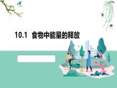 2024-2025學(xué)年北師大版生物七年級(jí)下冊(cè) 4.8.1  食物中能量的釋放 (2) 課件