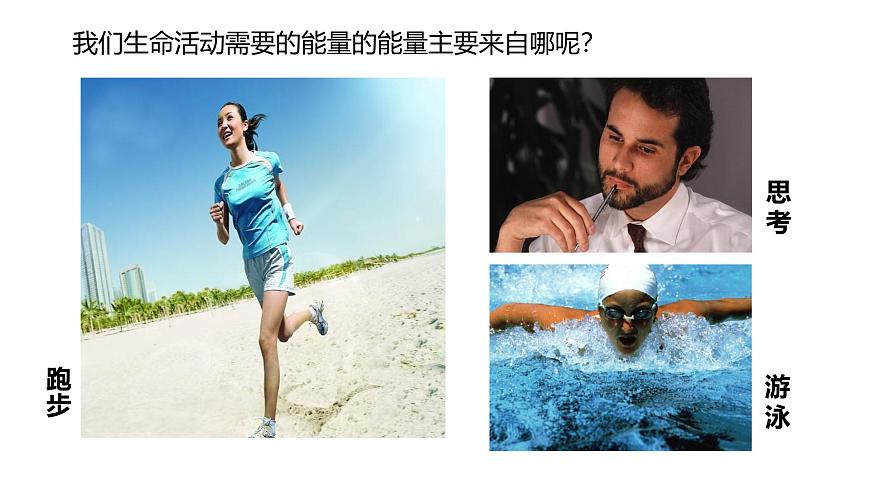 2024-2025学年北师大版生物七年级下册 4.8.1  食物中能量的释放 (2) 课件第3页