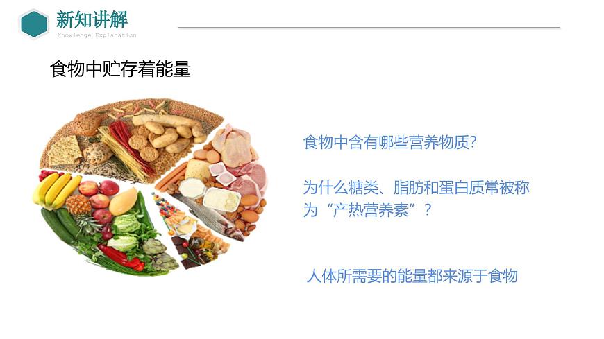 2024-2025学年北师大版生物七年级下册 4.8.1  食物中能量的释放 (2) 课件第4页