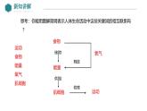 2024-2025學(xué)年北師大版生物七年級(jí)下冊(cè) 4.8.1  食物中能量的釋放 (2) 課件