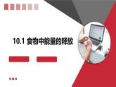 2024-2025學(xué)年北師大版生物七年級(jí)下冊(cè) 4.8.1  食物中能量的釋放 (3) 課件