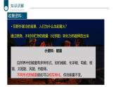 2024-2025學(xué)年北師大版生物七年級(jí)下冊(cè) 4.8.1  食物中能量的釋放 課件