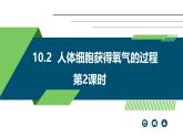 2024-2025學(xué)年北師大版生物七年級(jí)下冊(cè) 4.8.2 人體細(xì)胞獲得氧氣的過(guò)程（第2課時(shí)） 課件
