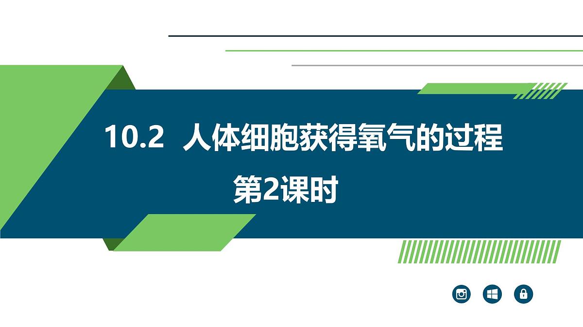 2024-2025学年北师大版生物七年级下册 4.8.2 人体细胞获得氧气的过程（第2课时） 课件第1页