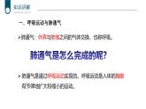 2024-2025學(xué)年北師大版生物七年級(jí)下冊(cè) 4.8.2 人體細(xì)胞獲得氧氣的過(guò)程（第2課時(shí)） 課件