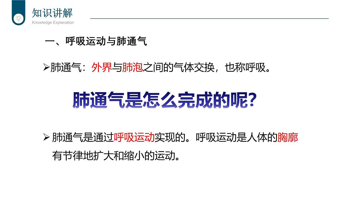 2024-2025学年北师大版生物七年级下册 4.8.2 人体细胞获得氧气的过程（第2课时） 课件第4页