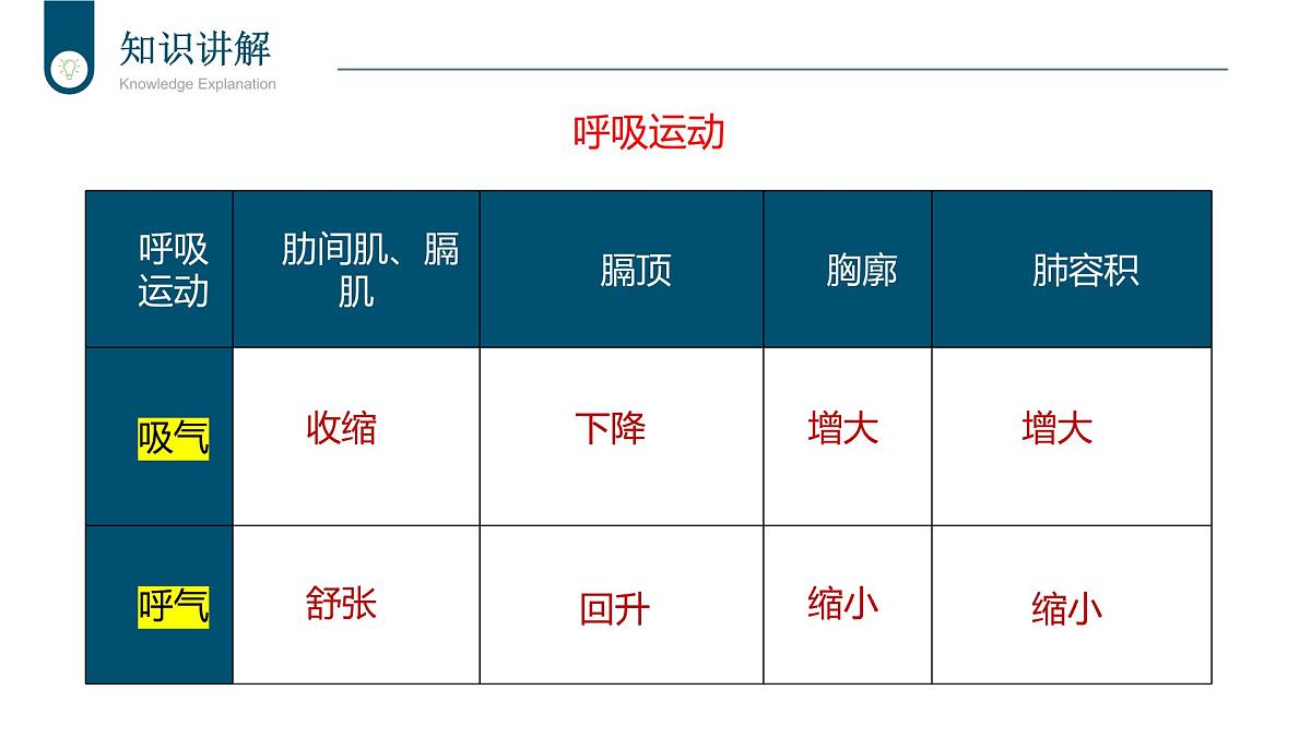 2024-2025学年北师大版生物七年级下册 4.8.2 人体细胞获得氧气的过程（第2课时） 课件第8页
