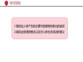 2024-2025學(xué)年北師大版生物七年級(jí)下冊(cè) 4.9.1 人體產(chǎn)生的代謝廢物 (2) 課件
