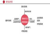 2024-2025學(xué)年北師大版生物七年級(jí)下冊(cè) 4.9.1 人體產(chǎn)生的代謝廢物 (2) 課件