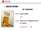 2024-2025學(xué)年北師大版生物七年級(jí)下冊(cè) 4.9.1 人體產(chǎn)生的代謝廢物 (2) 課件