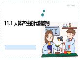 2024-2025學(xué)年北師大版生物七年級(jí)下冊(cè) 4.9.1 人體產(chǎn)生的代謝廢物 課件