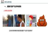2024-2025學(xué)年北師大版生物七年級(jí)下冊(cè) 4.9.1 人體產(chǎn)生的代謝廢物 課件