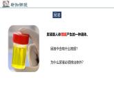 2024-2025學(xué)年北師大版生物七年級(jí)下冊(cè) 4.9.1 人體產(chǎn)生的代謝廢物 課件