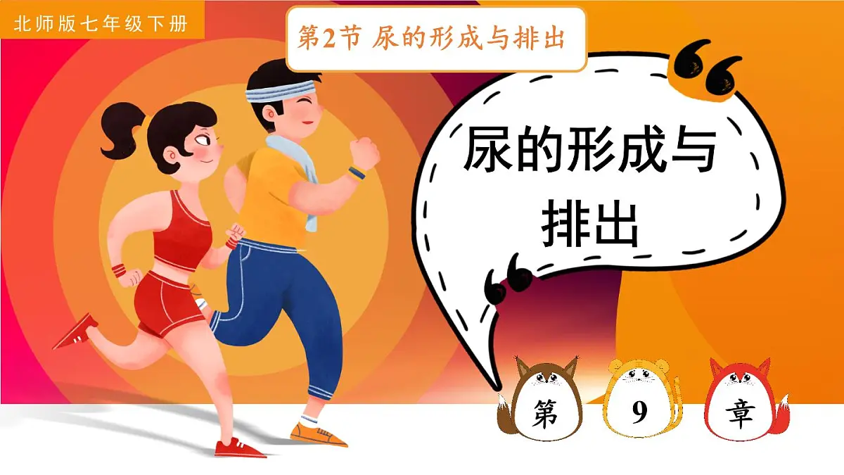 2024-2025学年北师大版生物七年级下册 4.9.2 尿的形成与排出 课件第1页