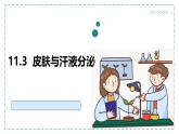 2024-2025學年北師大版生物七年級下冊 4.9.3 皮膚與汗液分泌 (2) 課件