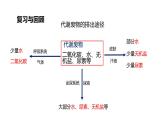 2024-2025學年北師大版生物七年級下冊 4.9.3 皮膚與汗液分泌 (2) 課件