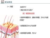 2024-2025學年北師大版生物七年級下冊 4.9.3 皮膚與汗液分泌 (2) 課件