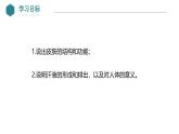 2024-2025學年北師大版生物七年級下冊 4.9.3 皮膚與汗液分泌 課件