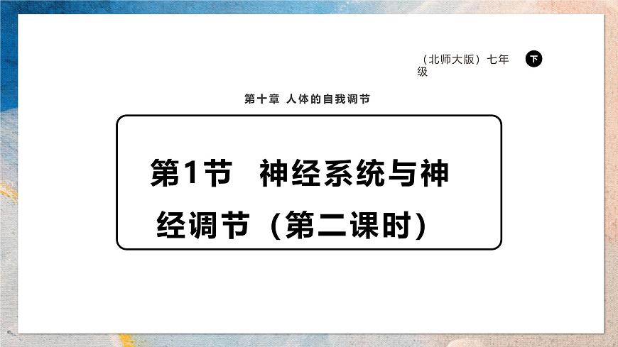 2024-2025学年北师大版生物七年级下册 4.10.1.2神经系统与神经调节（第二课时） 课件第1页