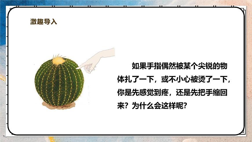 2024-2025学年北师大版生物七年级下册 4.10.1.2神经系统与神经调节（第二课时） 课件第3页