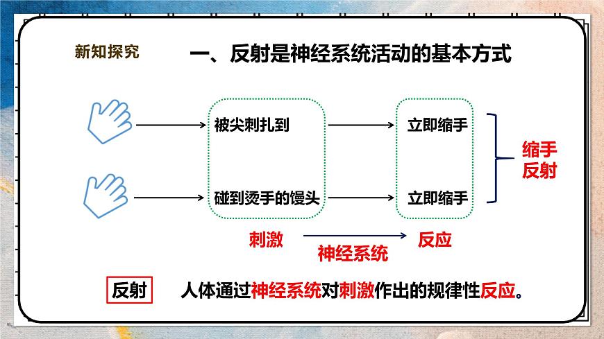 2024-2025学年北师大版生物七年级下册 4.10.1.2神经系统与神经调节（第二课时） 课件第4页