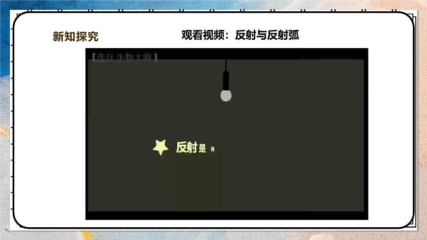 2024-2025学年北师大版生物七年级下册 4.10.1.2神经系统与神经调节（第二课时） 课件第6页